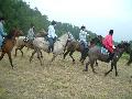 ktn_22.jpg