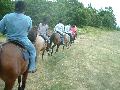 ktn_26.jpg