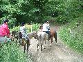 ktn_3.jpg