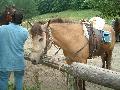 ktn_36.jpg