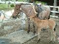 ktn_42.jpg