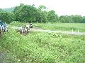 ktn_48.jpg