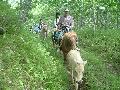 ktn_60.jpg