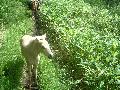 ktn_61.jpg