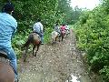 ktn_7.jpg