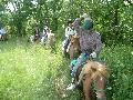 ktn_70.jpg