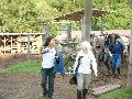 ktn_10.jpg
