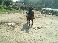 ktn_5.jpg